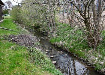 fot. Urząd Gminy Skrzyszów