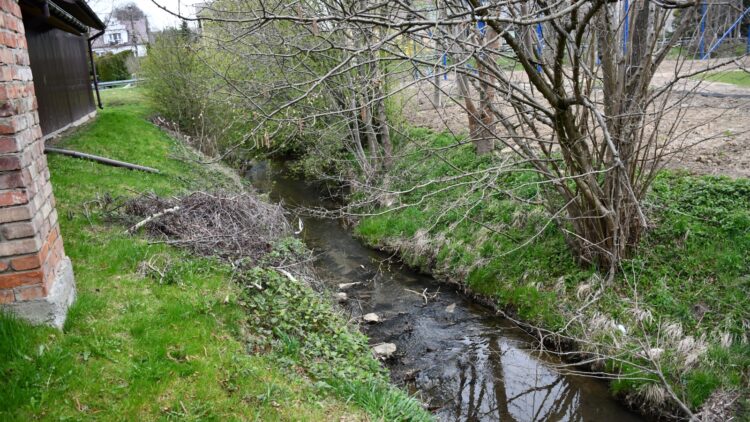 fot. Urząd Gminy Skrzyszów