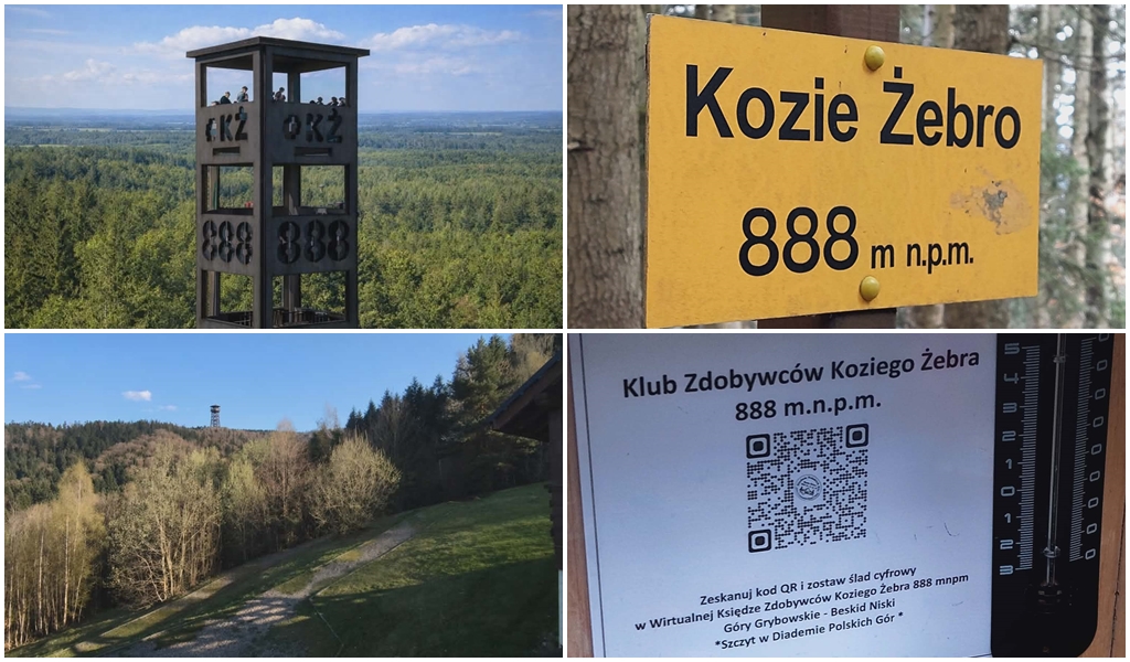 Czy na Kozim Żebrze stanie wieża widokowa? Wraca pomysł atrakcji w Górach Grybowskich