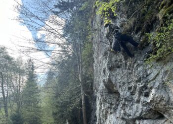 fot. Pieniński Park Narodowy
