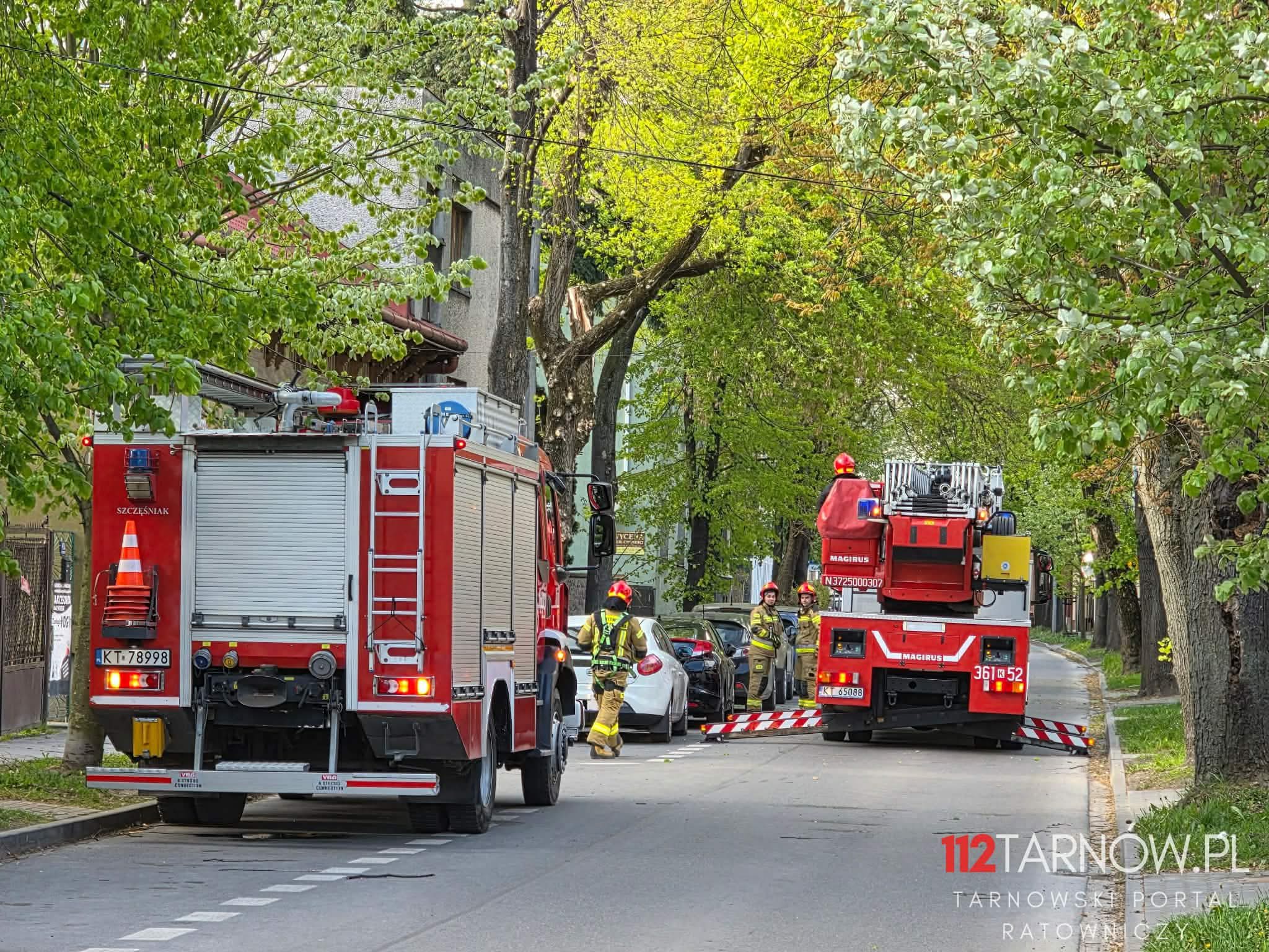 Silny wiatr w regionie. Strażacy usuwają uszkodzone drzewa i konary