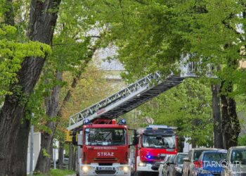 fot. strażacy usuwają pochyloną gałąź nad ul. Krasińskiego w Tarnowie/112Tarnow.pl - Tarnowski Portal Ratowniczy
