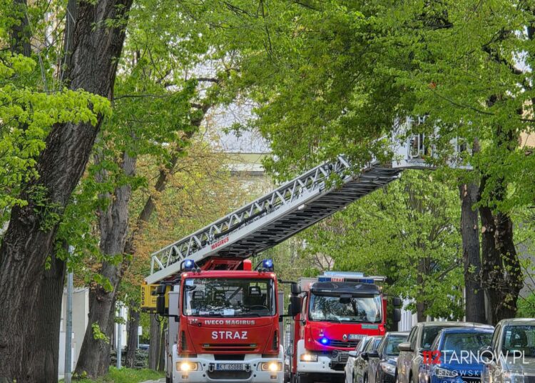 fot. strażacy usuwają pochyloną gałąź nad ul. Krasińskiego w Tarnowie/112Tarnow.pl - Tarnowski Portal Ratowniczy