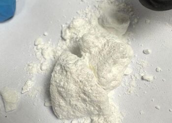 fot. Komenda Miejska Policji w Nowym Sączu