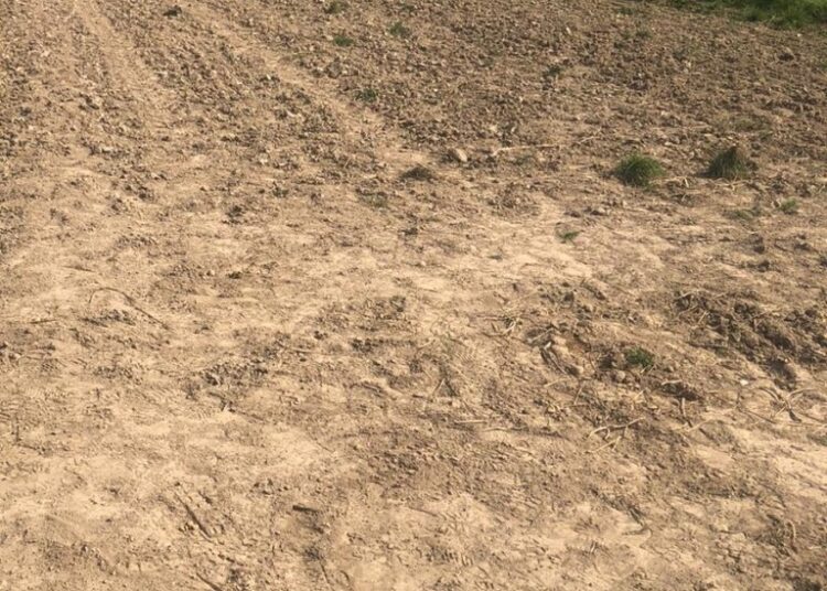 fot. Komenda Miejska Policji w Nowym Sączu