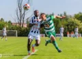 fot. Dominik Głąb, sandecja.pl