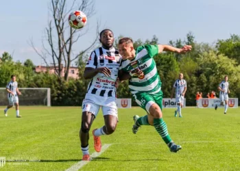 fot. Dominik Głąb, sandecja.pl
