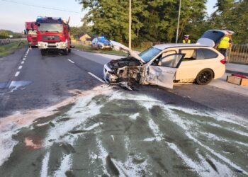 fot. Komenda Powiatowa Państwowej Straży Pożarnej w Dąbrowie Tarnowskiej