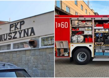 fot. rdn/remiza.pl - zdjęcie ilustracyjne