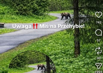 fot. Oszlakowani na Instagramie