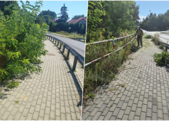 Po lewej - chodnik i pobocze przed wycinką/fot. słuchaczka - po prawej teren po usunięciu chwastów/fot. Katarzyna Tadel