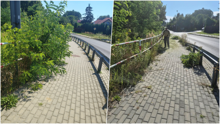 Po lewej - chodnik i pobocze przed wycinką/fot. słuchaczka - po prawej teren po usunięciu chwastów/fot. Katarzyna Tadel