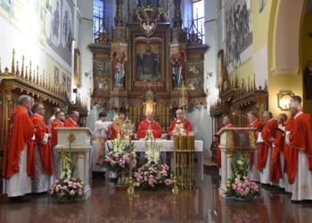 Wojciech Cisło/Parafia Szczepanów