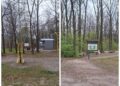 na zdjęciu: Lasek Lipie (archiwum RDN)
