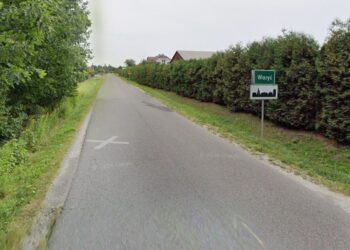 Waryś w gm. Borzęcin (Google Street View)