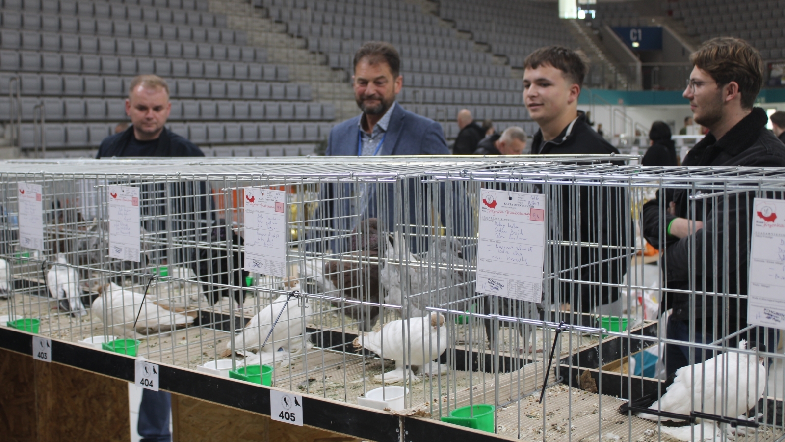 Tradycje hodowlane chcą zachowywać dla kolejnych pokoleń. W Tarnowie prezentowano rasowe gołębie, drób i króliki