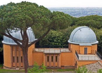 fot. Vatican Media