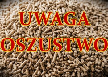 fot. KMP Nowy Sącz