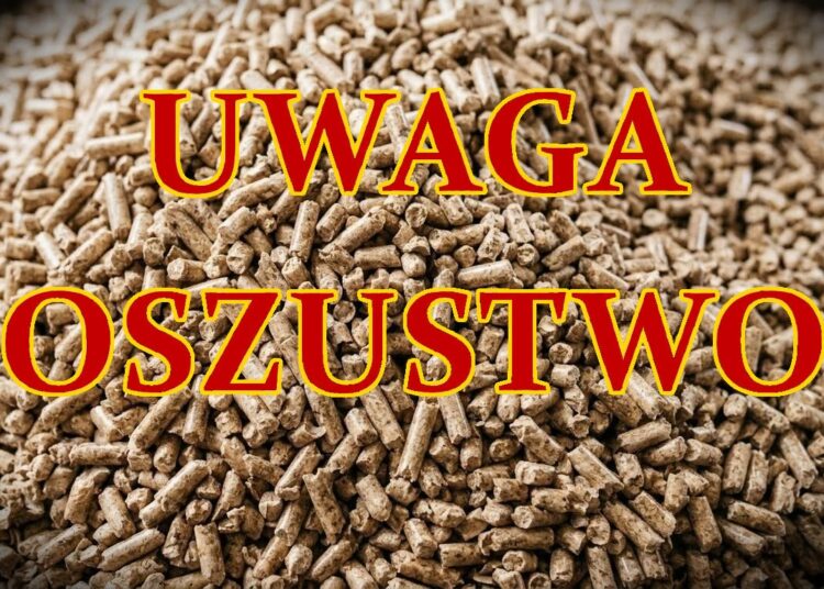 fot. KMP Nowy Sącz