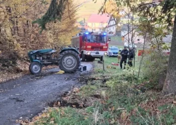 fot. Telewizja Limanowska