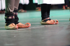sdg_final098