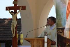 sdvdsv16