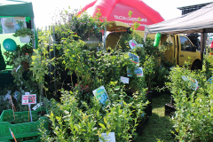 Agropromocja_09_2025003