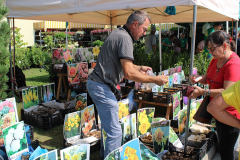 Agropromocja_09_2025015