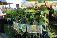 Agropromocja_09_2025019