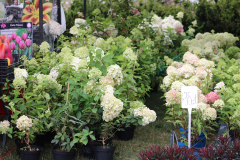 Agropromocja_09_202611