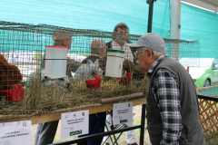 Agropromocja_09_202652