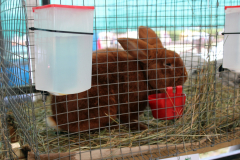 Agropromocja_09_202653