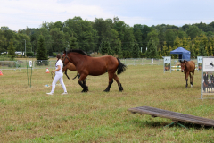 Agropromocja_09_202655