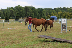 Agropromocja_09_202656