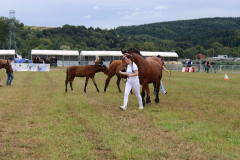 Agropromocja_09_202657