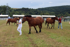 Agropromocja_09_202658