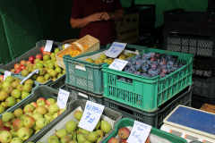Agropromocja_09_202675