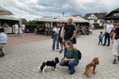 IMG_7042