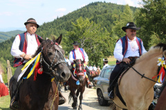 cisowy_dzial006