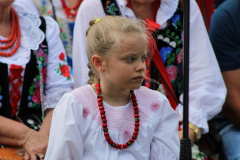 cisowy_dzial022