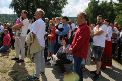 cisowy_dzial042