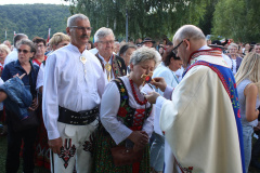 cisowy_dzial081