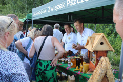 cisowy_dzial084