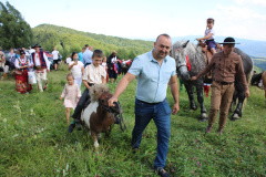 cisowy_dzial095