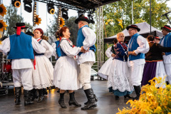 3695661a-a2a2-4209-ae7f-29b56f3a571d