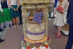 540509366_3237399836417035_1531880281111342331_n