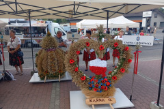 541317865_3237397033083982_5993876619376397356_n