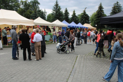 festyn_malgorzata004