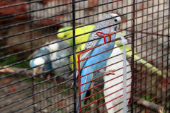 b_IMG_3770