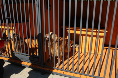 otwarcie_jrg2_04_202631